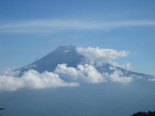 ようやく全容が
