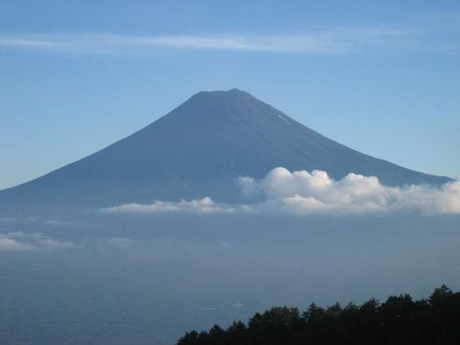夕方になるとこのようにスッキリとした形で