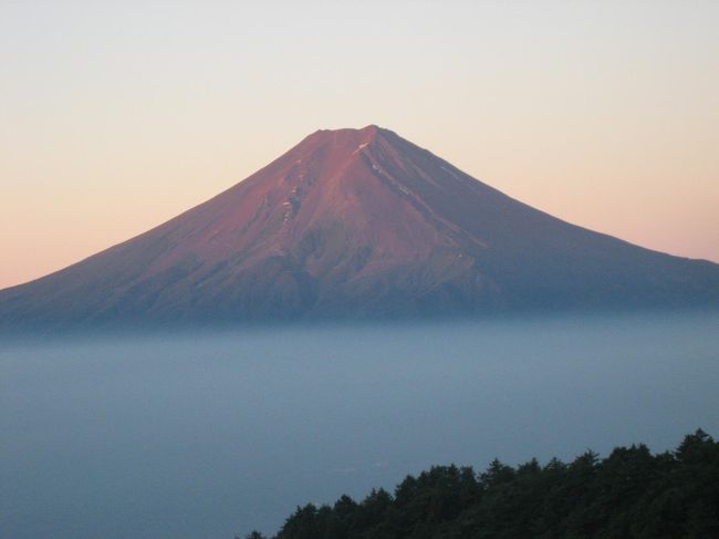 この場にいられることに自然と感謝の気持ちでいっぱいに