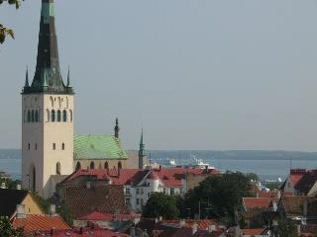 トームペアの隣の展望台からの眺め