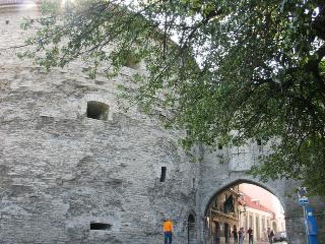 近すぎ？？太っちょマルガレータ