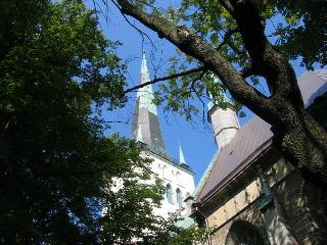 快晴で、爽やかでした。