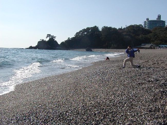 桂浜で石投げに興じる息子