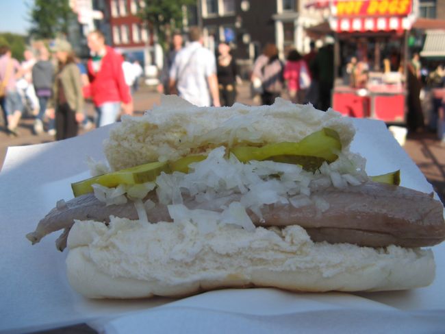 ハーリング・ブローチェっていうんだったっけ？<br />ニシンのサンドイッチ。<br />塩加減がちょうどよくて、おいしい！<br /><br />駅から歩いてすぐの運河の橋の上で<br />街行く人を眺めながら食べました。<br /><br />空港→せんとらぁ〜る駅まで、往復6.20ユーロ。<br />VISAかMasterが使えて便利。<br />手持ちのユーロ現金がない時でも街歩きできるよ。