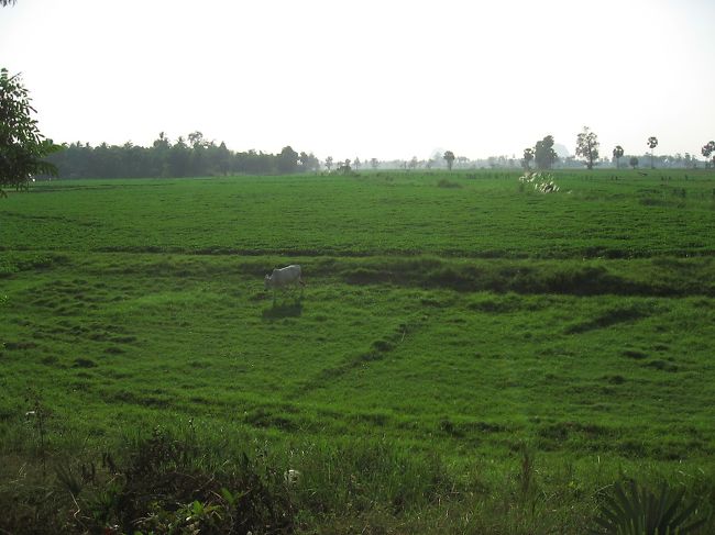 乾季にこれだけの豊かな緑。<br />