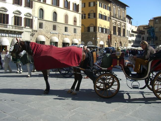 馬車が走っていました。<br />こういう街には馬車がとてもよく似合います。
