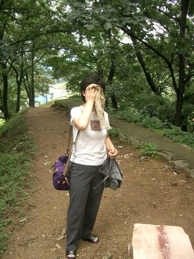 能書きはあとにして、行ってみましょう！<br /><br />ゲートで入場料払って敷地内にはいると、緩やかな傾斜の坂道が、枝分かれして続いています。<br /><br />森林に囲まれた、道をどこまでも歩いていくと、もうウンザリ（笑）。<br />くそー！<br />イン・ドア派は登山とか嫌いなんだからーっ。<br />スキー、スノボへ行っても、速攻でロッジにこもって、おしるこ食べてる派閥なんだからーっ。<br /><br />石垣の内側には、ポツポツと休憩所を兼ねた東屋が建つだけで、あとは山道！って感じです。<br />蒸し蒸し、じとじとのあつ〜い湿気のなかを、だらだら歩きます。<br />シャツも汗びっちょり。<br /><br />立ち止まると、すぐさま蚊が寄ってきて、イラっとします。<br />歩けば歩いたで、小さな羽虫がかたまって飛んでおり、うっとおしいことこのうえナシです。<br /><br />お母さんのベストショット（笑）。<br />題して『暑すぎ（汗）！！』<br /><br /><br />