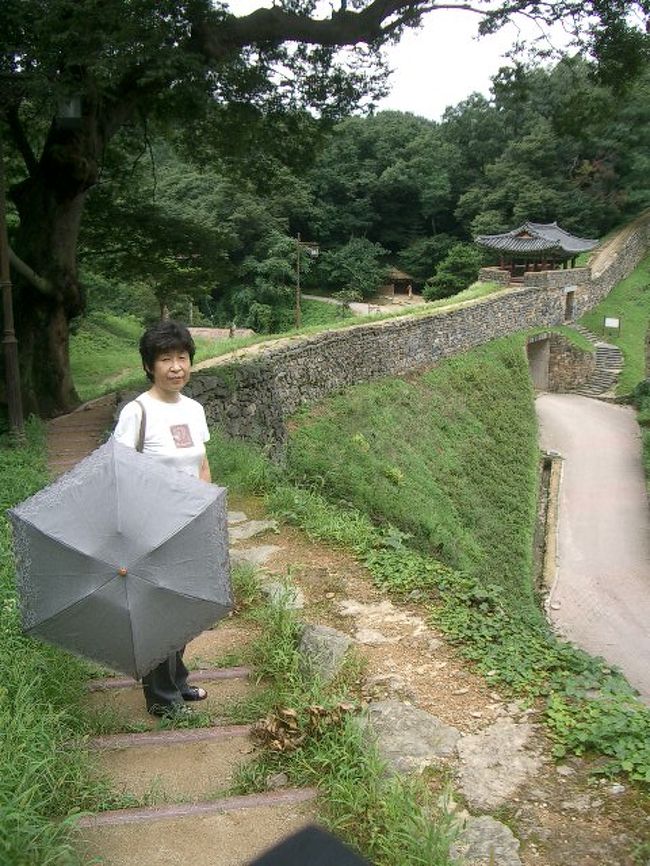 「変な写真ばっかり撮っている！」<br />と母が責めるので、涼しげなショットで。<br /><br />ホントは、ひたいに汗しています。