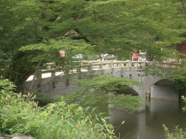 いきなり、こちらは麻谷寺〜！<br /><br />なんか、トレッキングをしているだけの公山城に飽きたので、古刹見物に。<br />バスで行けるというので、商店街の一角にあるバスターミナルについてみると、ちょうど入れ違いに麻谷寺行きのバスが出てしまい、次の便は１時間後。<br /><br />ホント、１時間に１本なんですヨー！タイヘンだっ。<br /><br />そんなに待てんッ！（暑いので短気）と、タクシーで行くことに。<br /><br />通りにでてタクシーを停め、乗り込みます。<br />どんどん民家も少ない、郊外の田園地帯のほうへ行ってしまうし、ずいぶん経っても到着しないので、<br />「どんだけ遠いんだ？！」<br />不安に思っていましたが、道路標識どおりなので遠回りをしてるとかじゃなくて、本当に遠いもよう。<br />今度はメーターが気になります。<br /><br />いくら韓国のタクシーが安いとはいえ、３０分以上乗れば庶民は不安です。<br />