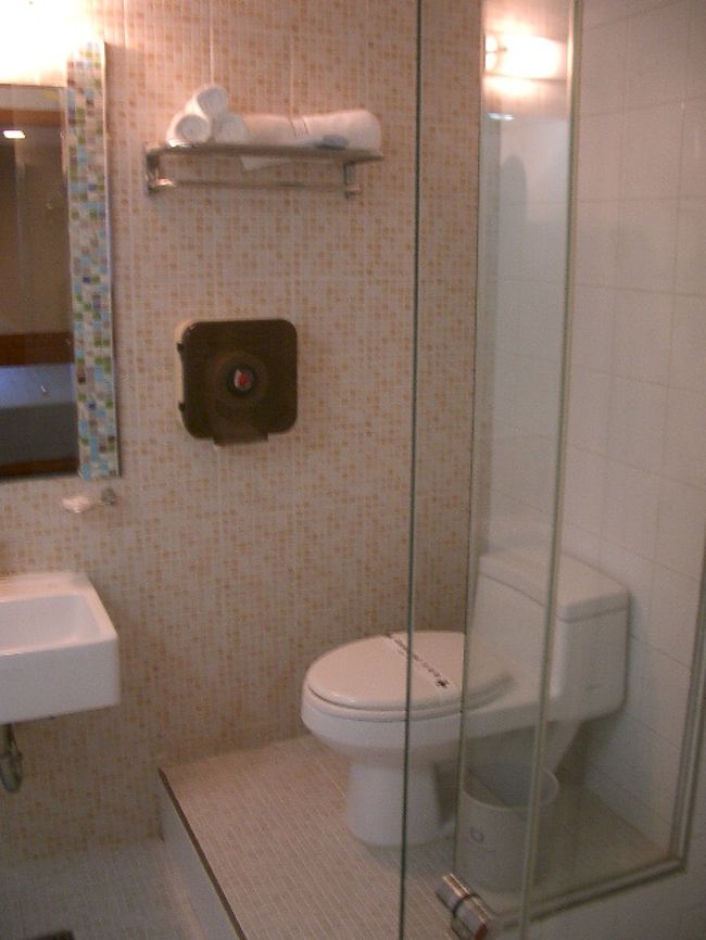 トイレはスケルトン。