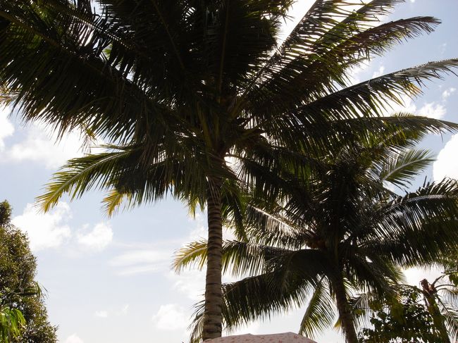 タクシーでトロピカルフルーツファームへやってきました。（３５リンギット）