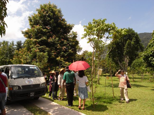 いろいろな国と人と一緒に果物の説明を受けます。
