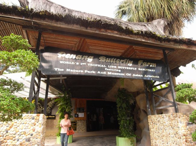 今度はバタフライファームに来ました。<br />いろいろな蝶が見られるとのことです。