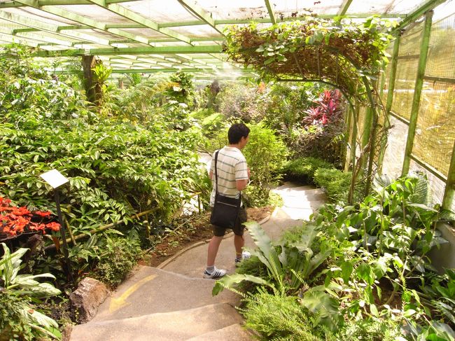 施設の中はこんな感じです。<br />前にいるのは一緒に旅行に行った同僚。