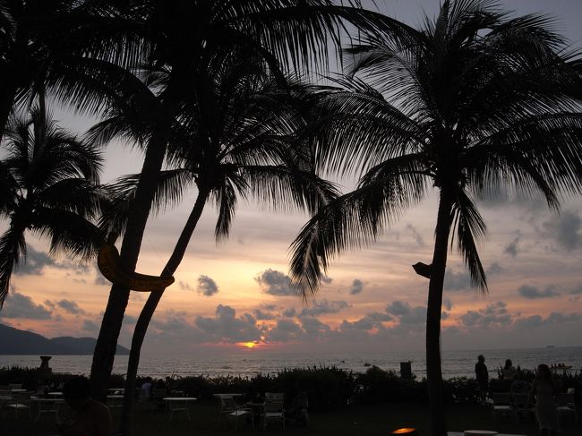 いかにもリゾートといったショットです。