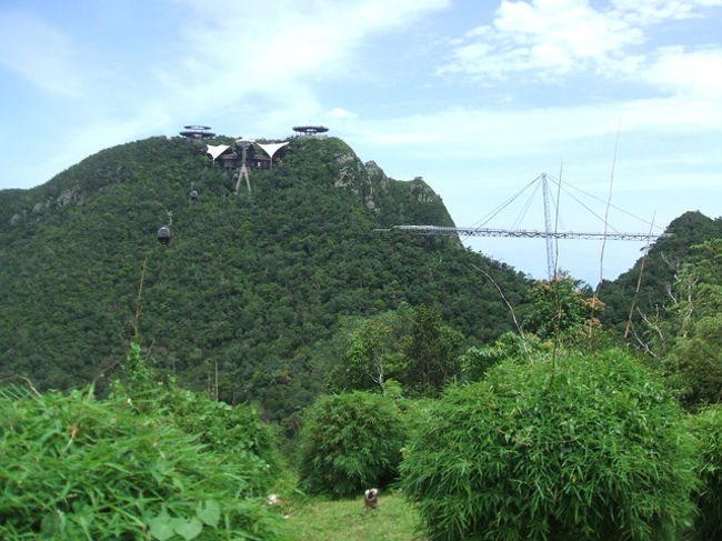 到着したと思って下りるとそこは途中の展望台でした。ここから更に上の展望台まで行くことができます。右に見えるつり橋までは上の展望台から数分歩きます。ここが意外にスリル有り。