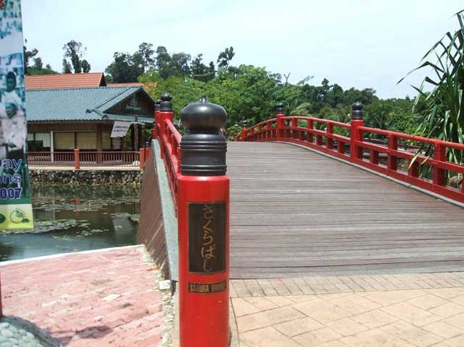 再びオリエンタル・ビレッジに戻ると池には日本風の橋が！？しかも名前は「さくら橋」、こんな所で日本語を見るとは思わなかった。