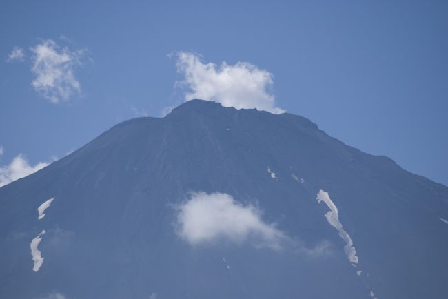 同じくアップです