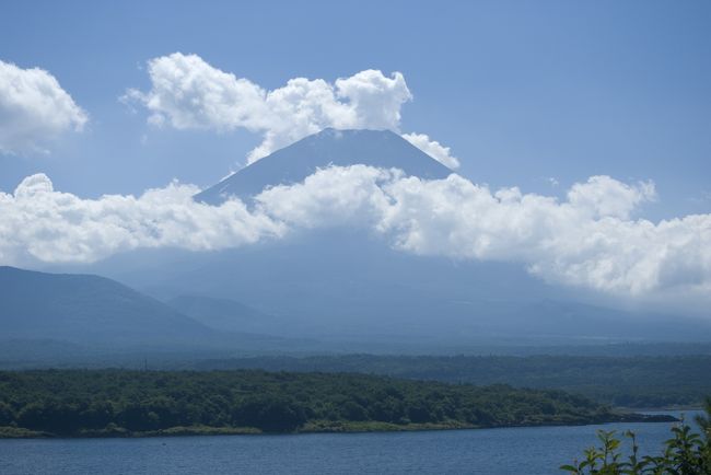 本栖湖へ行きました