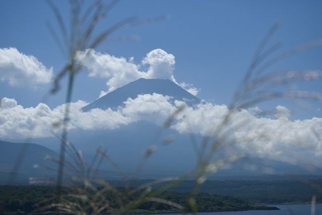 途中車を止めてみれるビューポイントが何カ所かあります