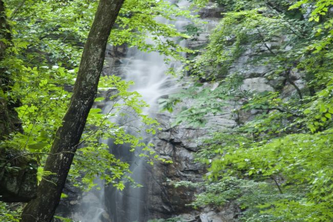 一気に西沢渓谷へ<br />ガイドブックをみて思わず行ってみたいと思いましたので・・・<br />そのガイドにものっていなかった滝を発見