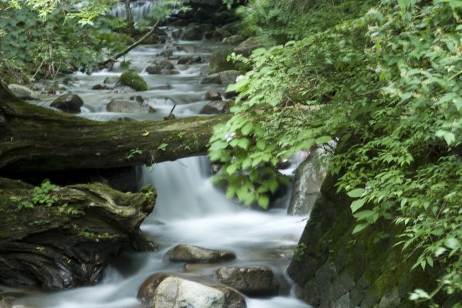 美しい渓谷です