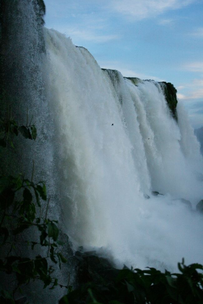 写真中程に小さな点のように黒く写っているのは「オオムジアマツバメ」という岩ツバメです。（２羽確認できます）<br />滝の中に巣を作り、天敵の蛇などから雛を守ります。<br />滝の中だとどんな動物でも攻め入る事が出来ません。<br />今まさに、滝への突入のタイミングを計っているところです。