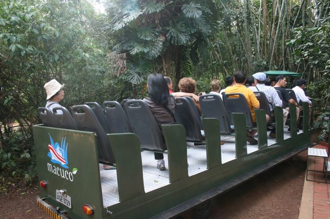 午後からはゴムボートで下流から滝に迫り、下から見上げるというマクーコ・ツアー（ジャングルツアーを兼ねる）に参加した。<br />このような無蓋車に乗ってジャングルの中を抜ける。