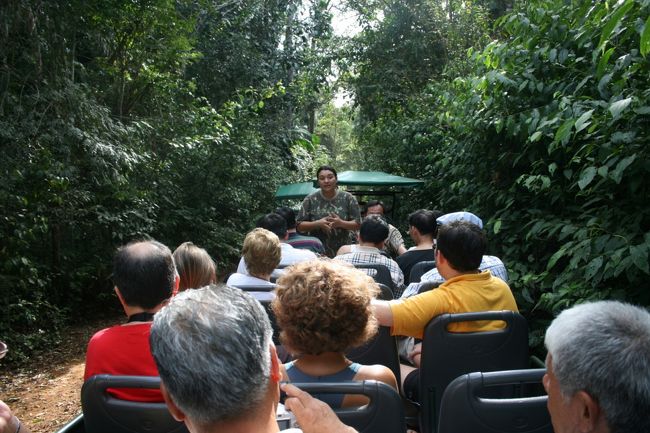 ジャングルは見上げるような高い木で覆われている。<br />ポルトガル語での案内だったので全く意味が分からず、現地ガイドさんに通訳をしてもらった。