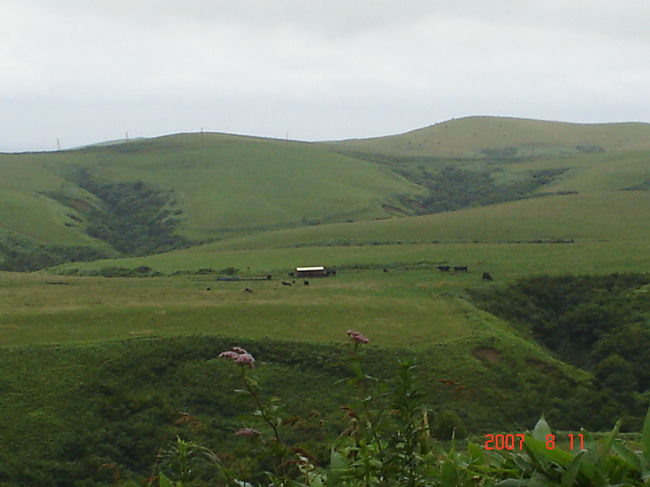 ２日目：宗谷丘陵の宗谷黒牛