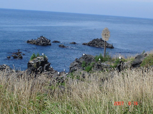 ５日目：利尻島／人面岩。<br />飛行機の出発時間が迫り、人面岩・寝熊の岩は写真だけ慌てて撮ってきました。