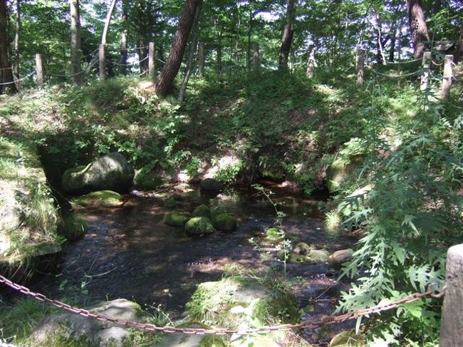 ここから出てます。