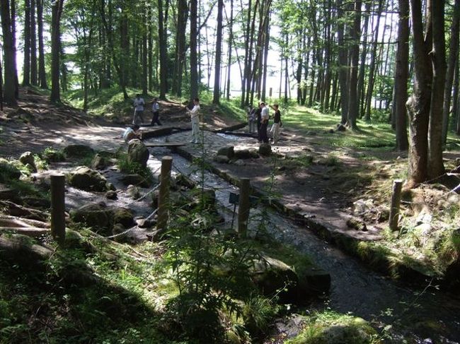 この先で三つに分かれます。