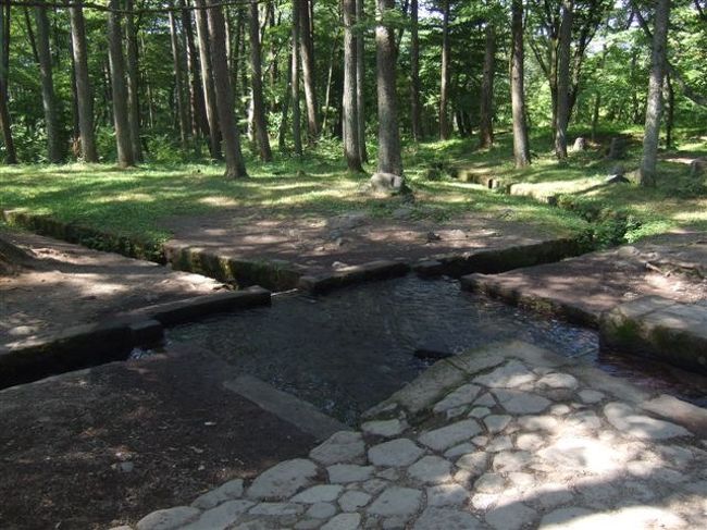 これが三分一湧水です。<br /><br />八ケ岳南麓湧水群の一つ。<br />「日本名水百選」にも指定されているそうです。<br />戦国時代、下流にある3つの村では水争いが絶えなかったので、湧水口に三角の石柱を置き、平等に水を配分したことからこの名が付けられました。<br />