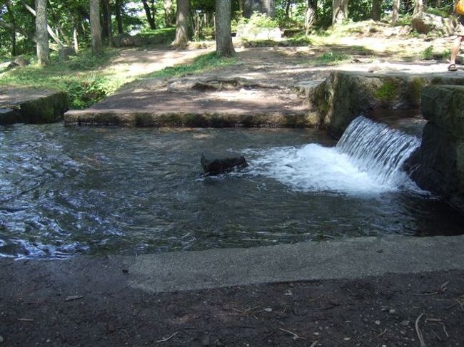 平等♪<br />人´･ω･｀o)感謝♪