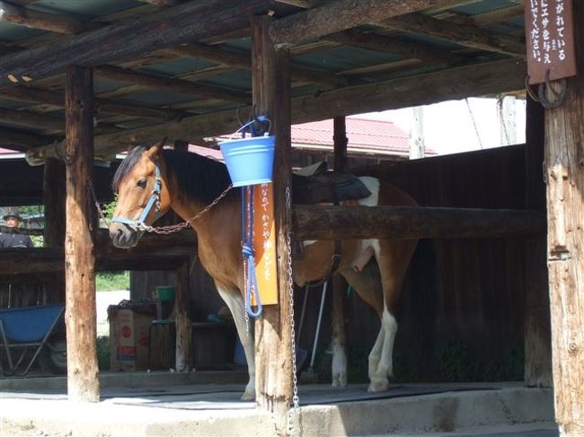 次は滝沢牧場へ<br /><br />【八ヶ岳 野辺山高原 滝沢牧場】<br />〒384-1305 長野県南佐久郡南牧村野辺山２３−１<br /><br />アクセス<br />自動車利用の場合<br />中央自動車道・須玉ICから国道141号線を北上し野辺山まで約2時間30分<br /><br />鉄道利用の場合 <br />新宿から「特急あずさ・スーパーあずさ」に乗車し<br />小淵沢で小海線に乗り換え野辺山駅下車、約2時間30分 <br />