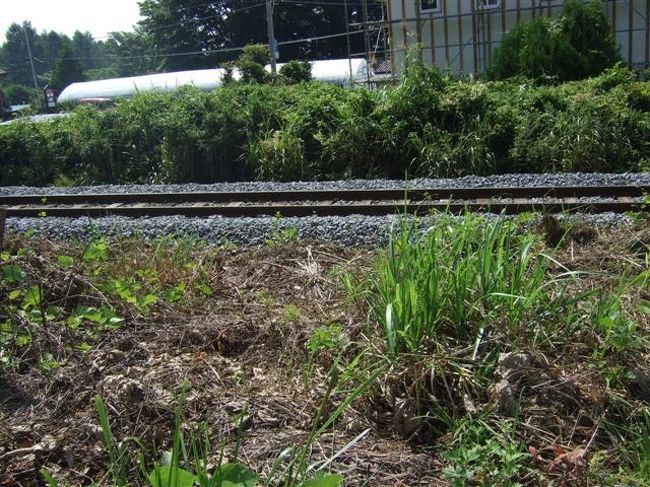 三分一湧水から滝沢牧場へ行く途中、ちょっと道を間違えて引き返していたら踏み切りにつかましました。<br />単線の踏み切りにつかまるのもレアなので記念にパシャ。