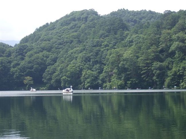 八ヶ岳の噴火によってできた広葉樹やアカマツに囲まれた、静かな天然湖。