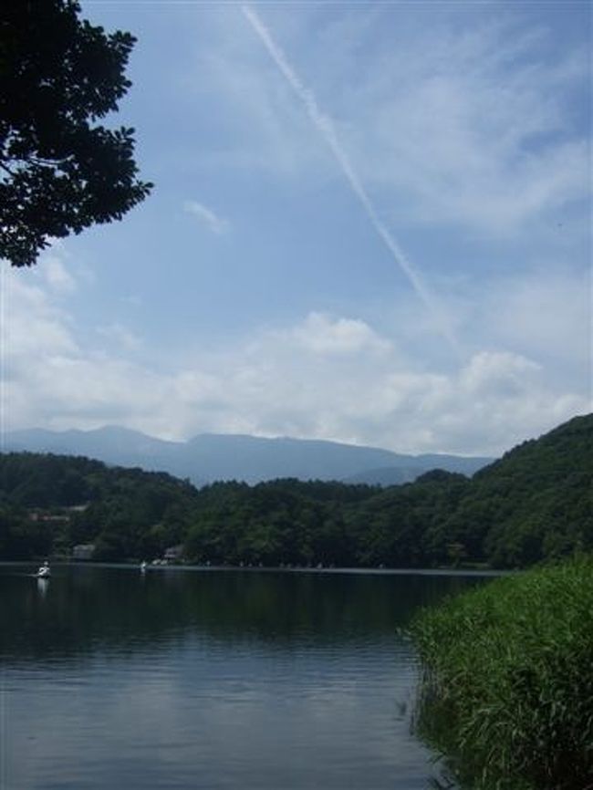 空には飛行機雲