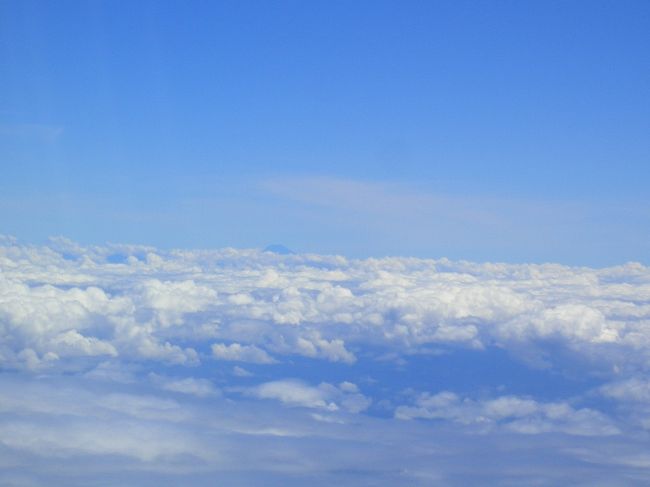 拡大すると･･･<br />富士山!!!<br />窓際やめれません･･･