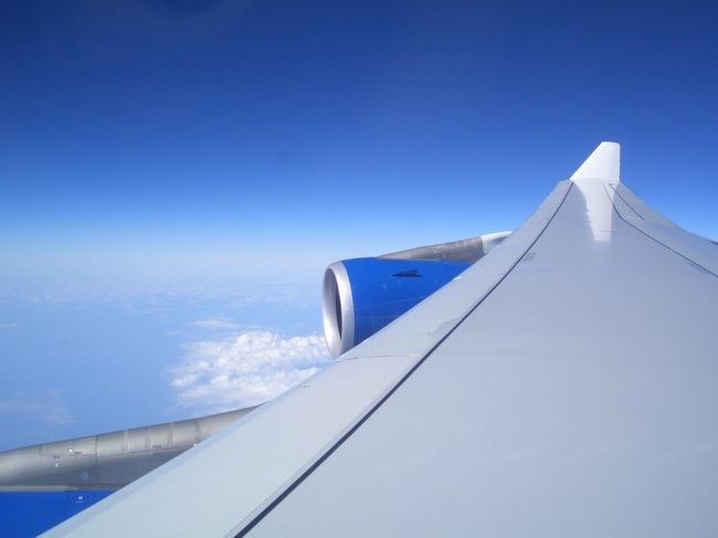 羽も心なしかキレイ。