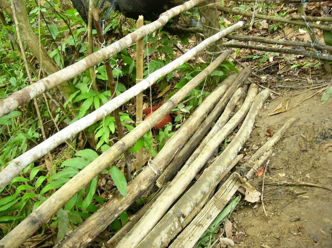 ようやく到着しました。