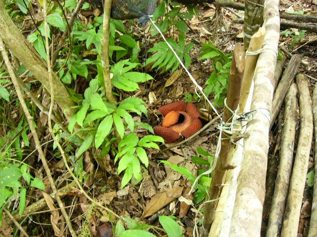 こんなところにありました。