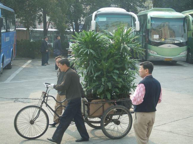 新宿のような高層ビルが立ち並ぶあたりでも、みんなリヤカーを当たり前に使ってる。なんかすごい格差です。