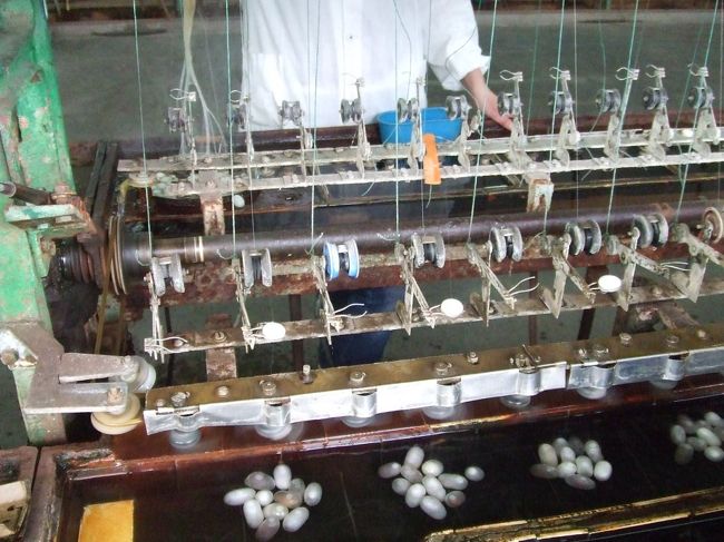 シルクの工場にも連れて行かれました。ツアーですから。