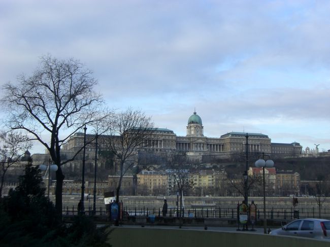 ペスト地区から王宮を望む。