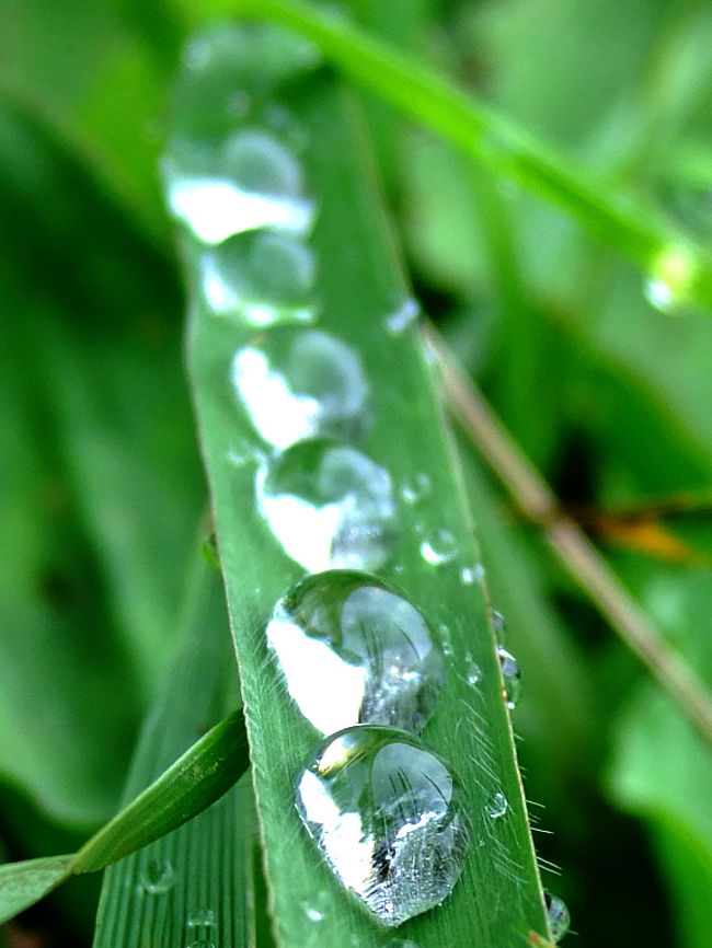 足元を見ると小さな雫の滑り台。