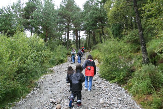 いきなり急な砂利道。