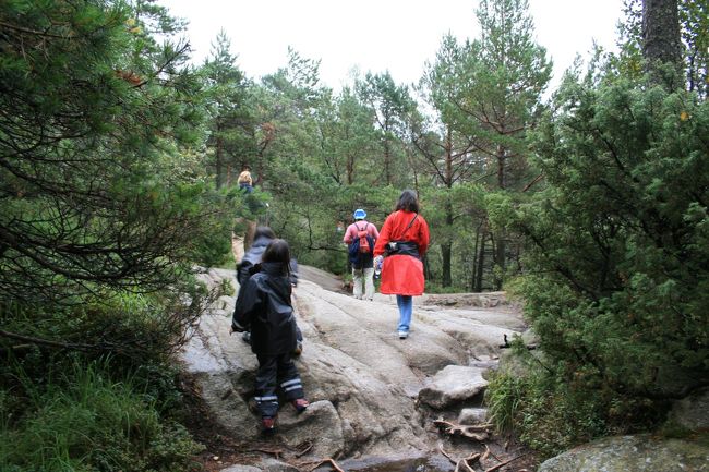 少し平らになったと思ったら・・・
