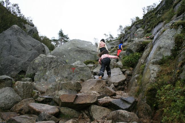 無心で登り続けます。道のりの中で、ここが一番きつかった。